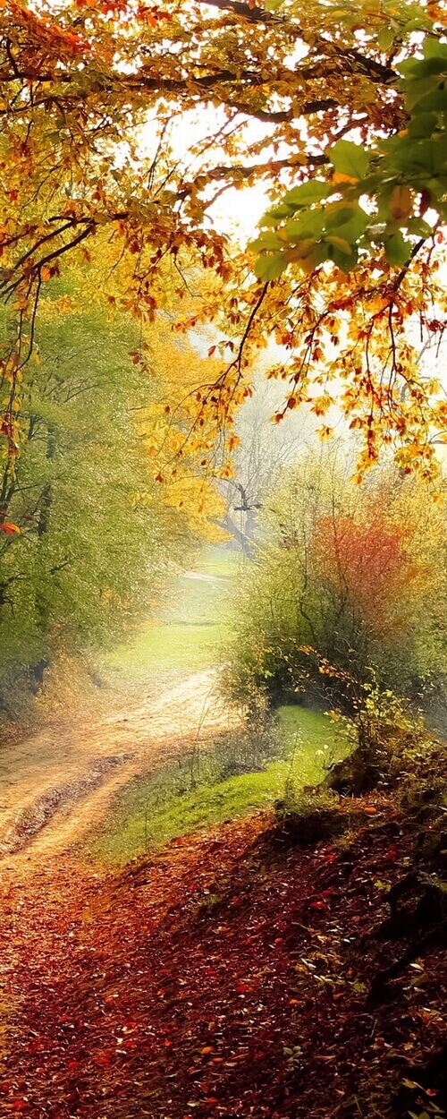 Пример изображения для макета изображения на стекле, фото 2